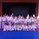 Acorn Judo Club
