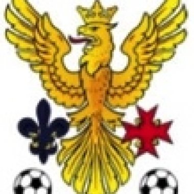 Imperial College School of Medicine Football Club