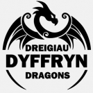 Dyffryn Dragons